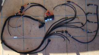 v3harness